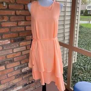 The Limited Just Peachy Sundress
